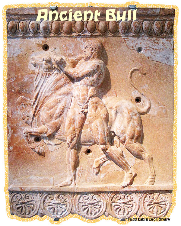 Ancient Bull - Printable Bible Image
